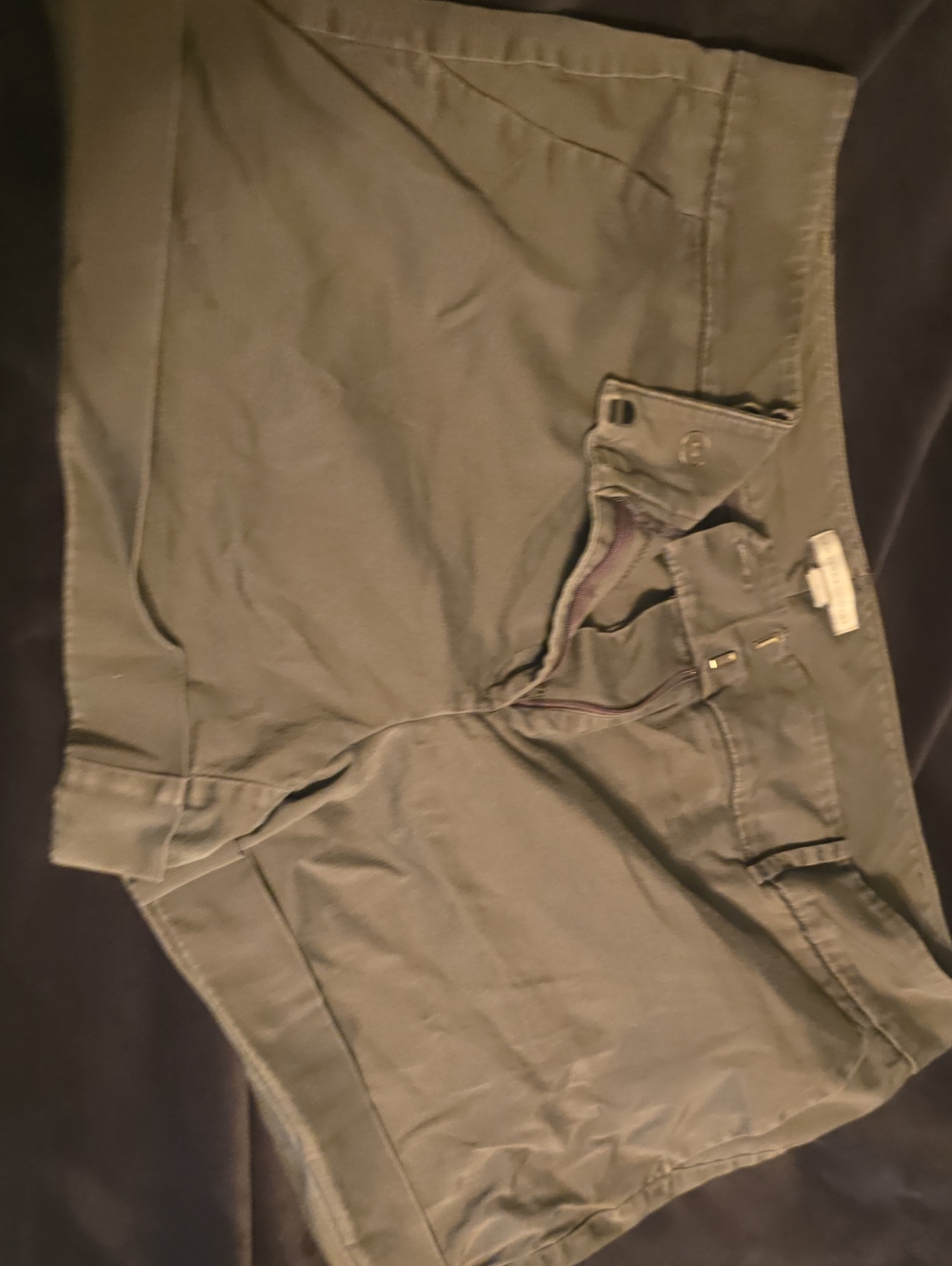 New York & Company Gray Chino Shorts